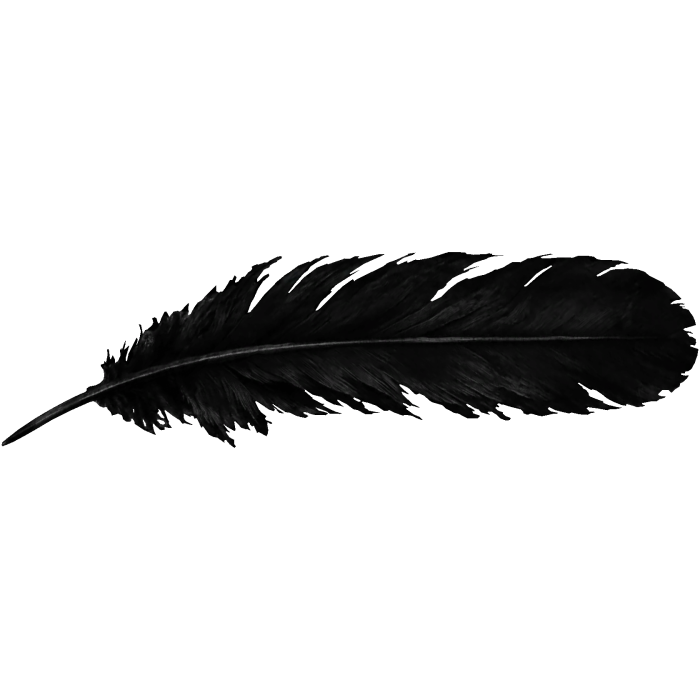 Crow Feather Eye Cover