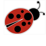 Lucky ladybug