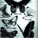 ৎ୭