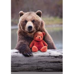 Bear_Group
