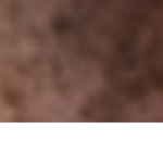 The city of robloxia fan group