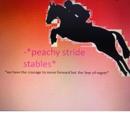 -_-+ Peachy Stride Stable +-_-