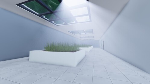 Indoor Garden