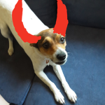 Aryaunicorngirl