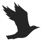Crow Clothing ®