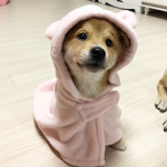 ᴛʀᴏᴘɪᴄᴀʟ ᴠɪʙᴇs!