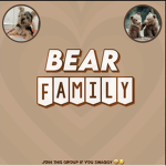 Bear Faimly!