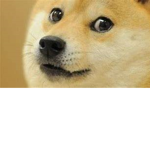 Doge Clan (USE STAR CODE DOGE)