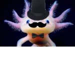 enzo axolotl