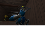 plese do not the cat