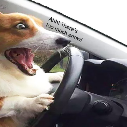 Snowy City RP