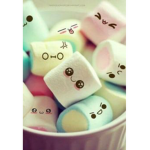 xozoexo