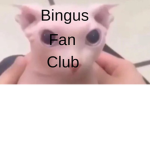 Bingus's Fan club