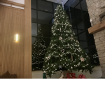 Christmas is a time to love