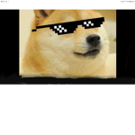 The Swag Doges