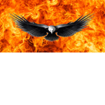 Devil Eagles