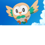 Rowlet Fans Group