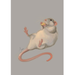 Cute rats clothes