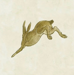 ~Ruby Hare~