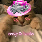 zeezy banks