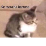 Grupo_facherito