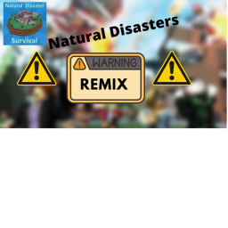 Remix Natural Disasters