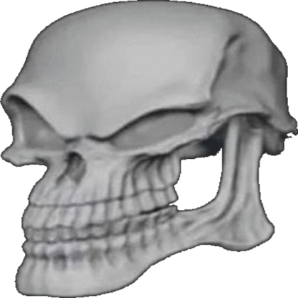 skull emoji frfr Roblox decal