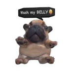 Pibble group