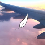 FlyHailo