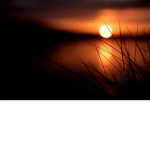 Sunlight Falls Down On All