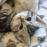 - oi <3 -