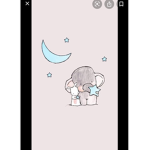 Kenzie • Koala