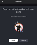 Banned Roblox players