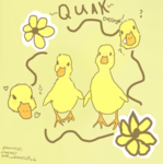 Quack Designs
