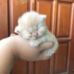 my ### #### :>