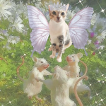 fairygals
