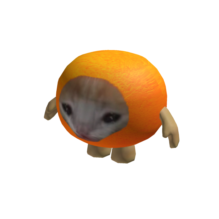 Orange Cat Suit