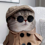 Pet Squad Community Group