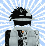 RealNeekoRblxYT