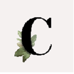 Camilonch_10