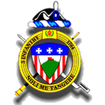 [ANC-Official] 3d US Infantry Regiment "TOG"