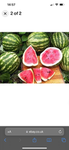 watermelonsgang