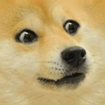 Doge world war