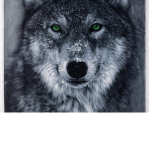 Wolf pack[fish pod]