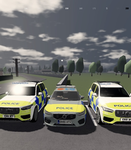 Armed police unit