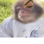 guccy gang