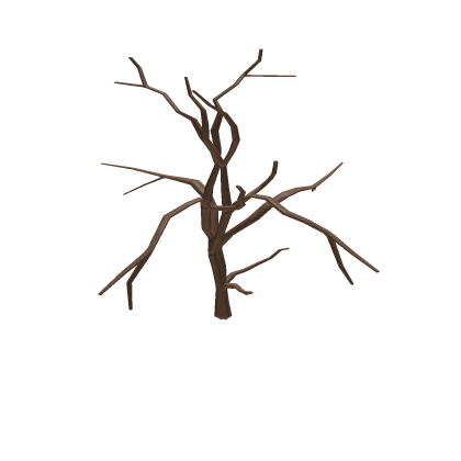 Dead Bush Brown Wood Shrub Plant Bushes Dry