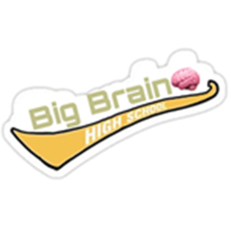 Big Brain High School🧠