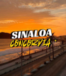 Concordia Snloa Studios
