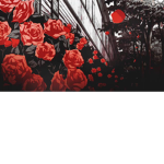 Red Roses ~,~